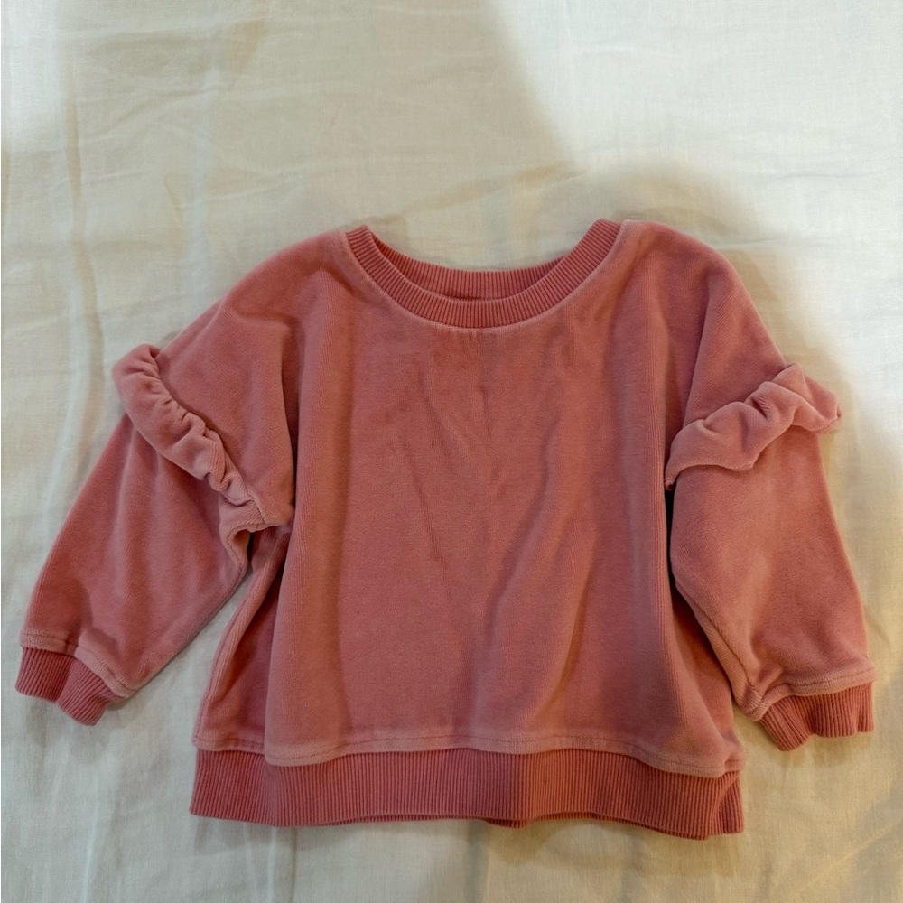Monica + Andy Velour Pink Ruffle Sweatshirt - 12-18mo